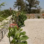 Olives Rocks Naxian Villas, By Naxosvibe ヴィラ