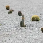 ヴィラ Olives Rocks Naxian Villas, By Naxosvibe