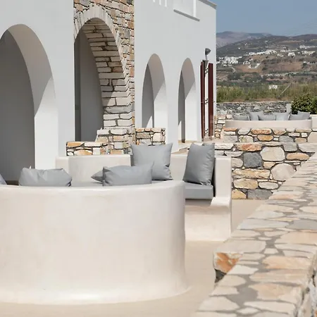 Olives Rocks Naxian *