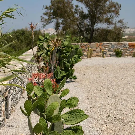 Olives Rocks Naxian Villas, By Naxosvibe Vila
