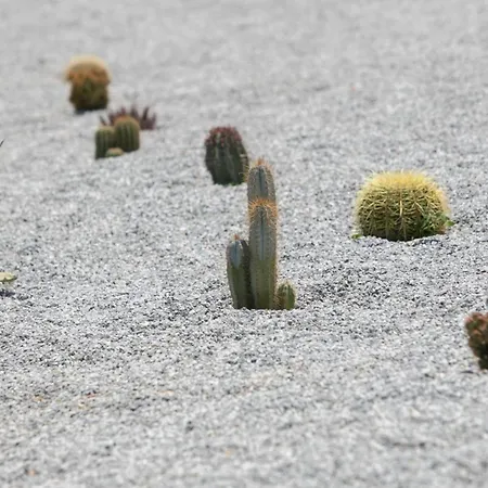 Villa Olives Rocks Naxian