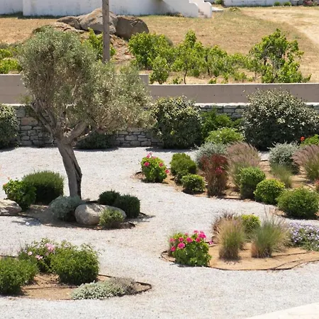Olives Rocks Naxian Villa *