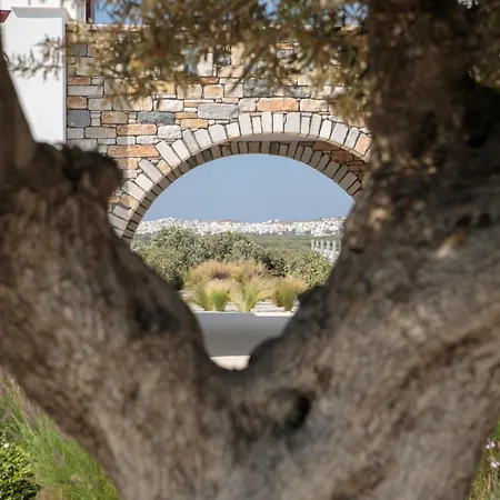 Olives Rocks Naxian Villas, By Naxosvibe Vila Agia Anna (Naxos)