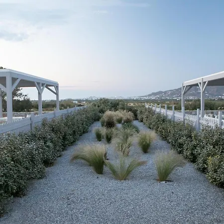 Villa Olives Rocks Naxian