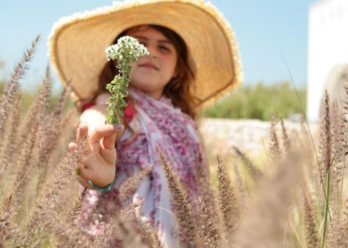 Vila Olives Rocks Naxian Villas, By Naxosvibe *