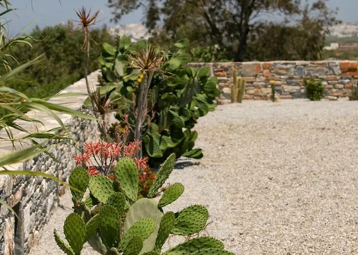 Olives Rocks Naxian Villas, By Naxosvibe Villa
