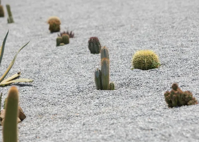 Vila Olives Rocks Naxian Villas, By Naxosvibe