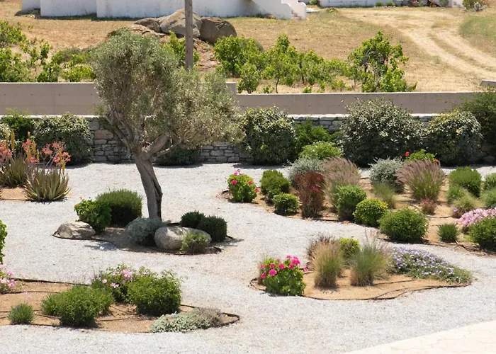 Olives Rocks Naxian Villas, By Naxosvibe Villa *